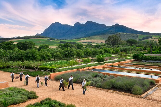 Half Day Stellenbosch Winelands Private Tour from Cape Town - Marianne pairs red wine with South African biltong