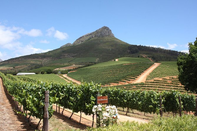 Half-Day Stellenbosch Winelands Tour from Cape Town - What this half-day Stellenbosch tour actually delivers