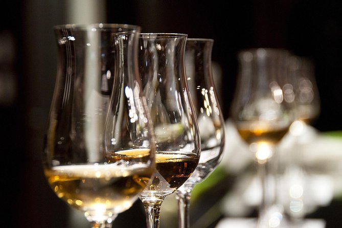 Half-Day Stellenbosch Winelands Tour from Cape Town - The guide can make or break the afternoon