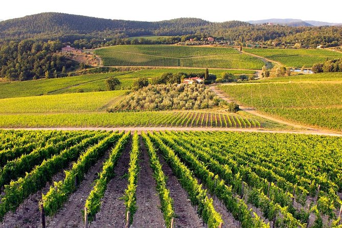 Half Day Tour Chianti Winery with San Gimignano - San Gimignano: towers, stone lanes, and a tight schedule