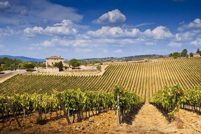 Half Day Tour Chianti Winery with San Gimignano - Who will enjoy this half-day tour