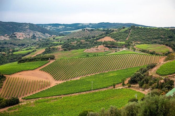 Half Day Tour Chianti Winery with San Gimignano - Leaving Florence in a climate-controlled minivan