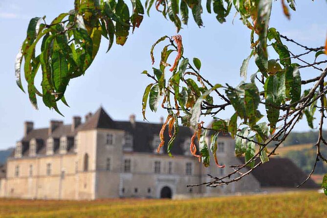 Half Day Tour of the Cote de Nuits Vineyards from Dijon - Key points to know before booking