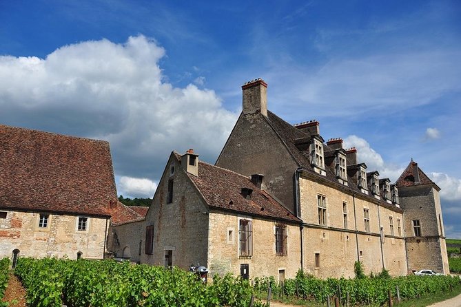 Half Day Tour of the Cote de Nuits Vineyards from Dijon - What the four-and-a-half-hour afternoon really offers