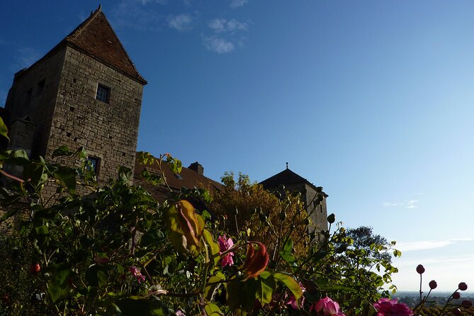 Half Day Tour of the Cote de Nuits Vineyards from Dijon - The tasting: five to seven Burgundy wines