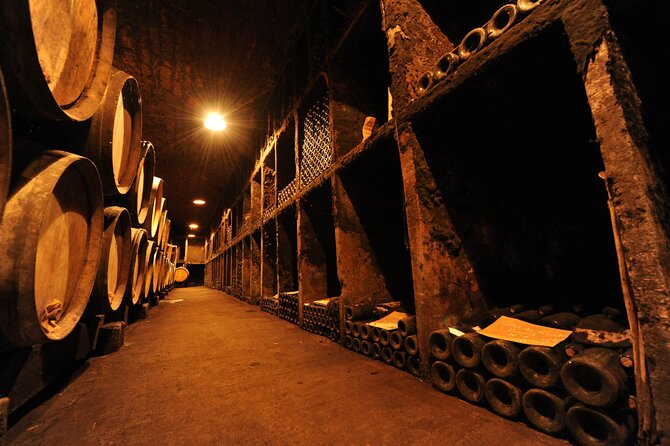 Half Day Tour of the Cote de Nuits Vineyards from Dijon - How the $80 price holds up