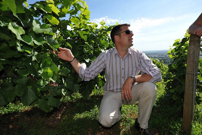 Half Day Tour of the Cote de Nuits Vineyards from Dijon - Following the Côte de Nuits by small group van