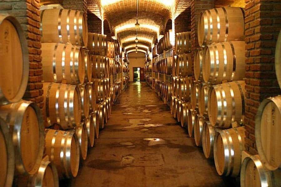 Half Day Tour of Wineries and Olive Oil from Mendoza - Key points at a glance