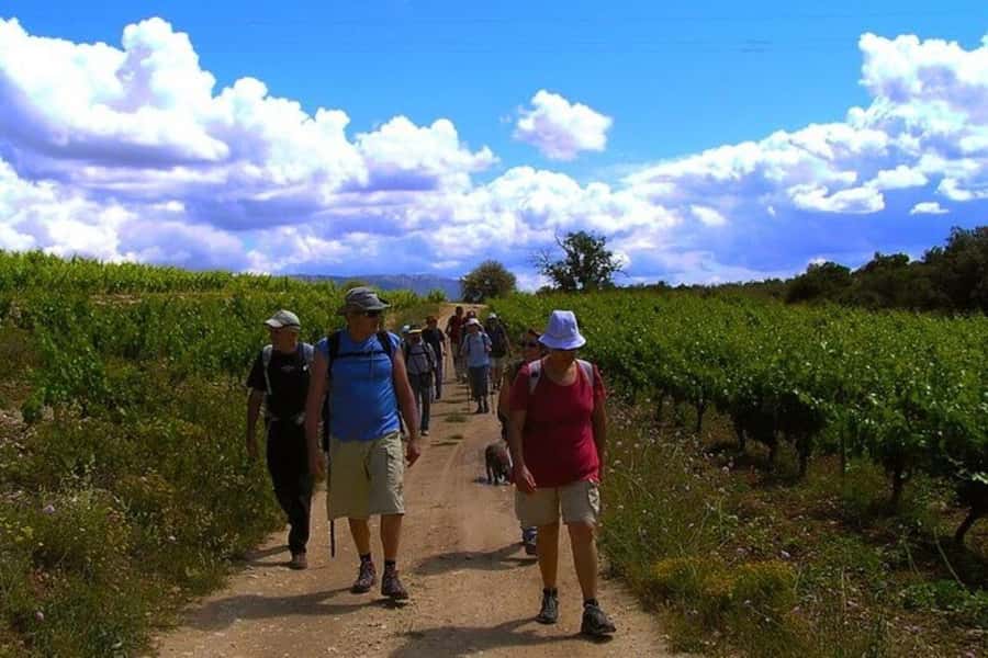 Half Day Tour of Wineries and Olive Oil from Mendoza - Why Maipú makes sense for a short Mendoza outing