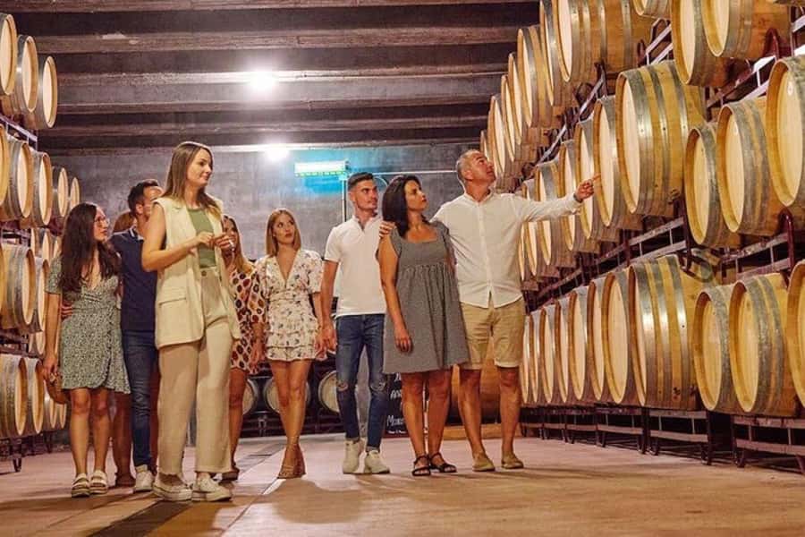 Half Day Tour of Wineries and Olive Oil from Mendoza - The first winery: production before tasting