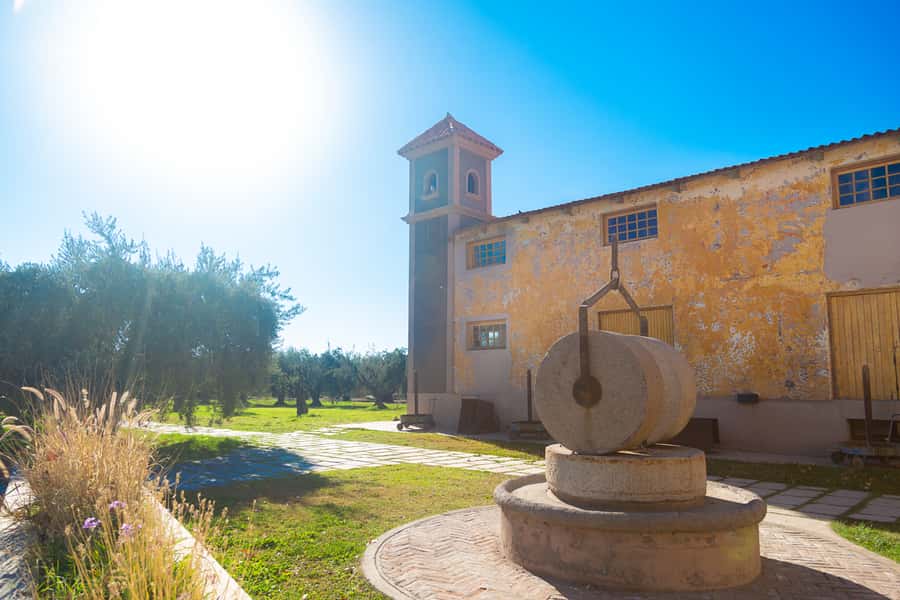 Half Day Tour of Wineries and Olive Oil from Mendoza - The second winery and the value of comparison