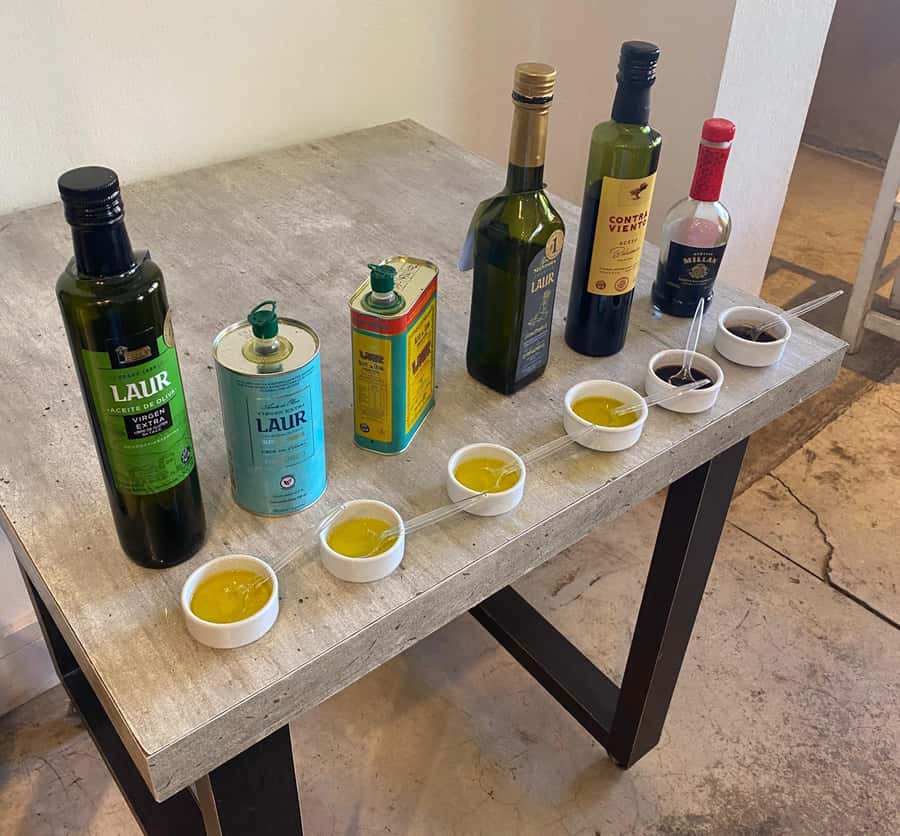 Half Day Tour of Wineries and Olive Oil from Mendoza - The olive oil factory adds a useful change of pace