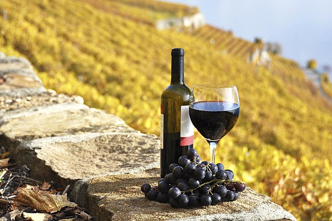 HALF-DAY Tour to Chianti Wine Region: CHIANTI COLORS & FLAVORS - Key points to know before booking