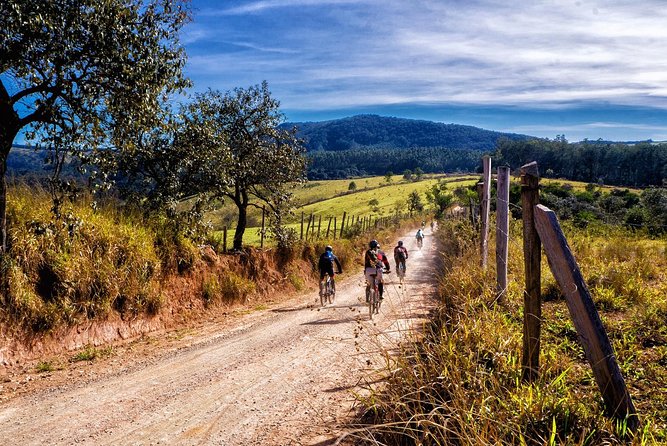 HALF-DAY Tour to Chianti Wine Region: CHIANTI COLORS & FLAVORS - Price, group size, and overall value
