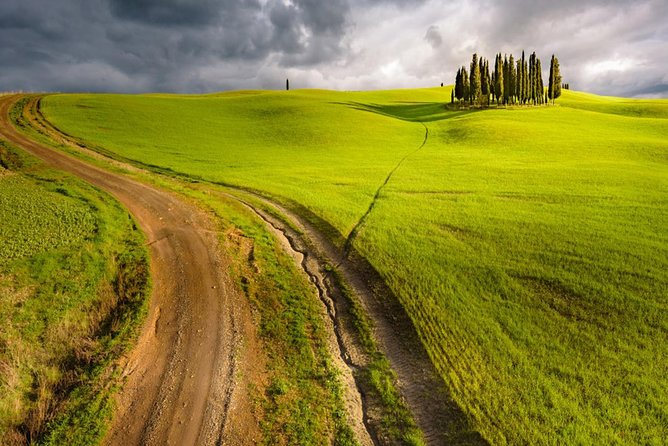 HALF-DAY Tour to Chianti Wine Region: CHIANTI COLORS & FLAVORS - The short vineyard walk near Greve