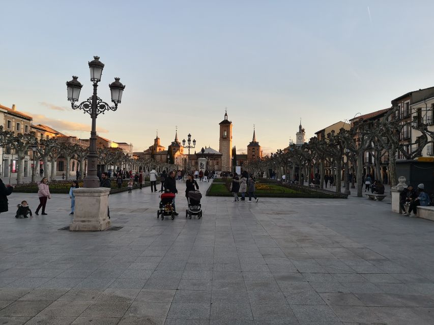 Half-Day Trip from Madrid: Alcalá de Henares & Winery Visit - Transport, timing, and the shape of the day