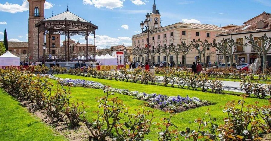 Half-Day Trip from Madrid: Alcalá de Henares & Winery Visit - Should you book the Alcalá and winery trip?
