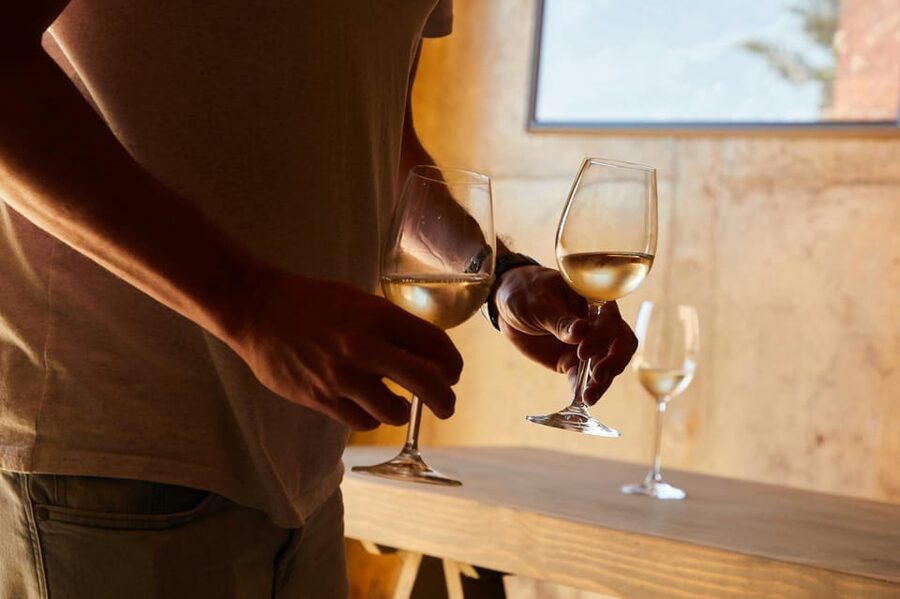 Half-Day Trip from Madrid: Alcalá de Henares & Winery Visit - Walking through the city of Cervantes