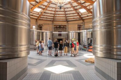 Half-Day Wine tour across Bordeaux’s Vineyards
