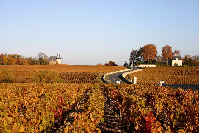 Half-Day Wine tour across Bordeaux’s Vineyards - English and French guiding on a large coach