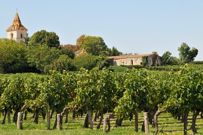 Half-Day Wine tour across Bordeaux’s Vineyards - How the $70.81 price measures up