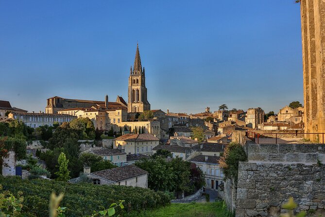 Half-Day Wine tour across Bordeaux’s Vineyards - Practical advice for a smoother afternoon