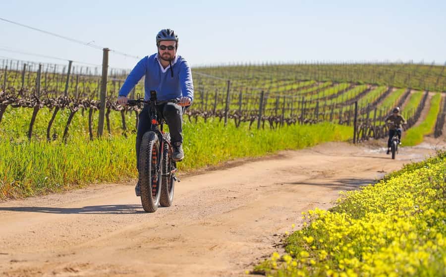 Half-Day Winelands E-Bike Tour with Wine Tasting - Key points to know before you book