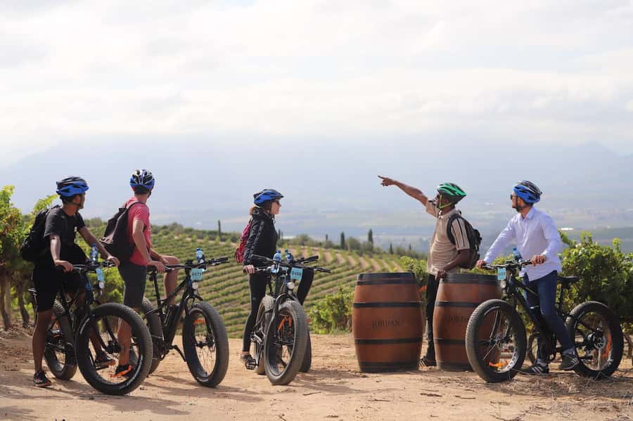 Half-Day Winelands E-Bike Tour with Wine Tasting - Why an e-bike works well in the Cape Winelands