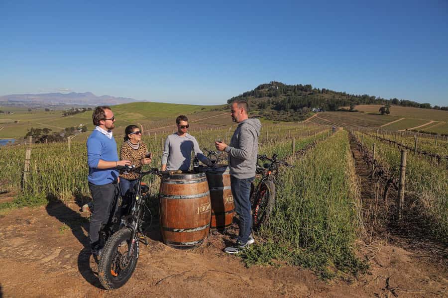 Half-Day Winelands E-Bike Tour with Wine Tasting - Finishing at an award-winning wine estate