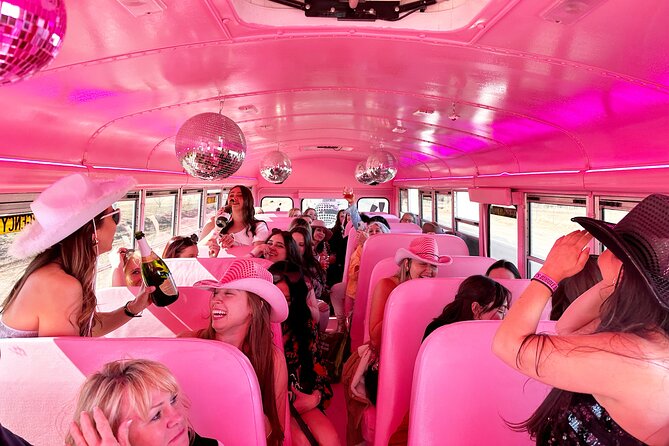 Half-Day Winery Tour in Fredericksburg - Brooke’s Bubble Bar, 90 minutes of pink bubbles and snacks