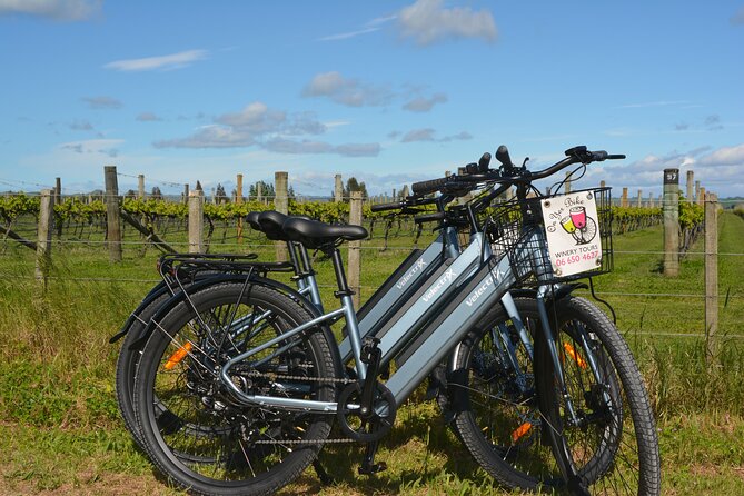 Hawkes Bay Wineries Self-Guided Electric Bike Tour - Key points at a glance