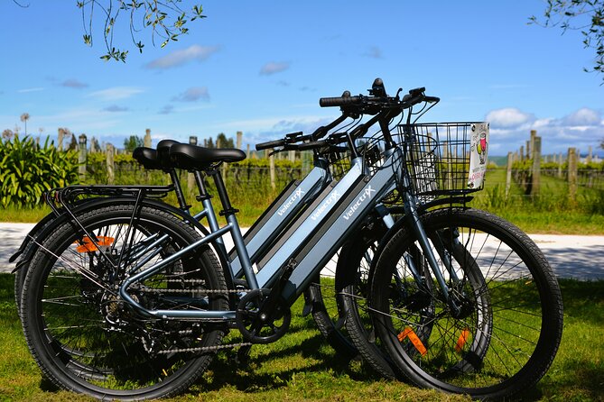 Hawkes Bay Wineries Self-Guided Electric Bike Tour - Who will enjoy this tour most