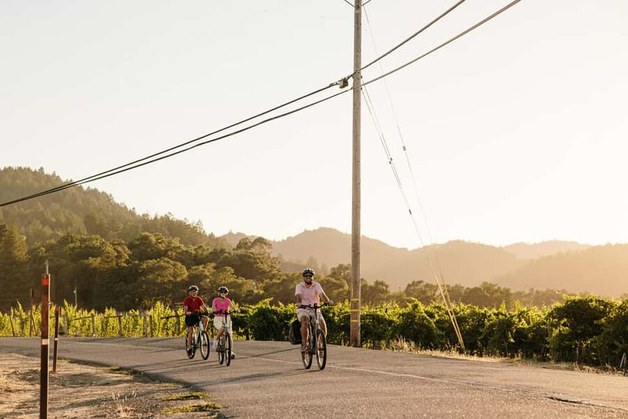 Healdsburg: Guided Electric Bike Wine Tour with Winery Stops - Key points at a glance