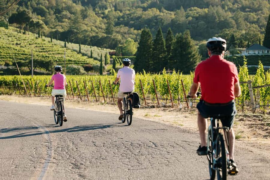 Healdsburg: Guided Electric Bike Wine Tour with Winery Stops - The first 75-minute winery stop