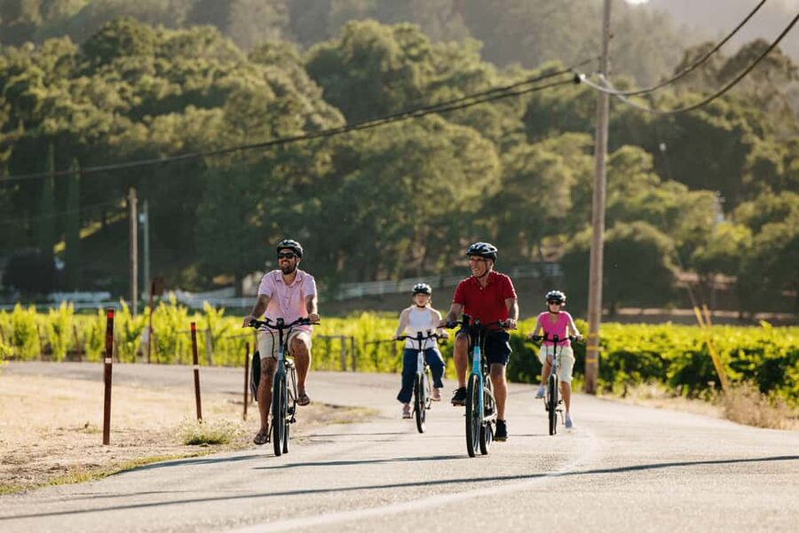 Healdsburg: Guided Electric Bike Wine Tour with Winery Stops - Why the small group makes a difference