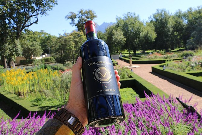 Helderberg Valley Winelands Day Tour with Private Transfer - Vergelegen and the old camphor trees