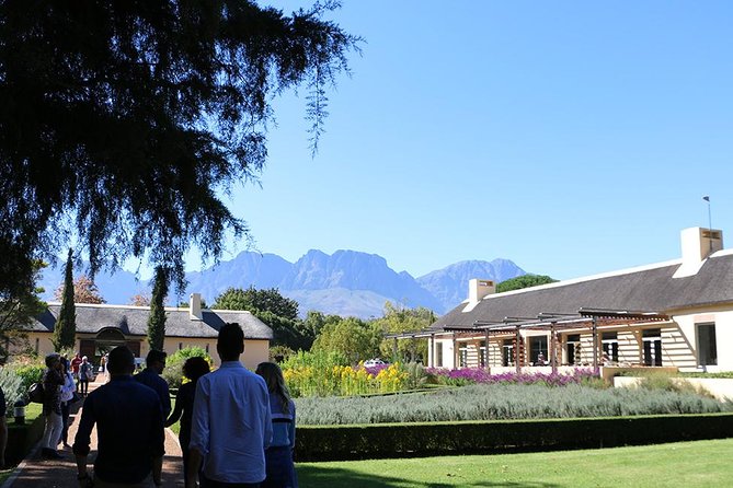 Helderberg Valley Winelands Day Tour with Private Transfer - What the private format really changes
