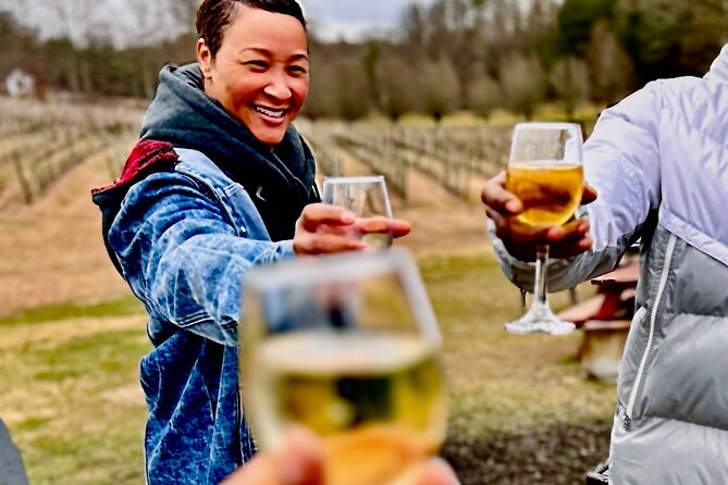 Helen N. Georgia Private Winery Tour, Dine and Shop from Atlanta - Key points to know before booking