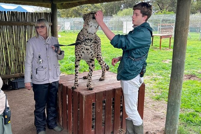 Helicopter, Boat Cruise, Big 5 Safari and Winelands Scenic Experience in 4 Days. - One Cape Town trip with several very different moods