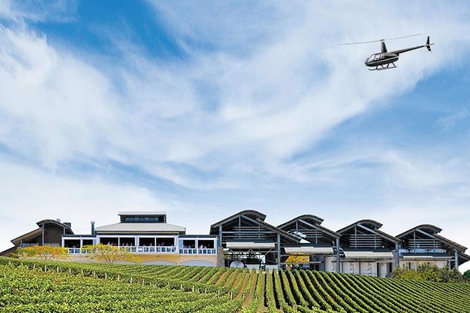 Helicopter Tour - Sirromet Winery & Scenic Flight - Seeing Brisbane from above