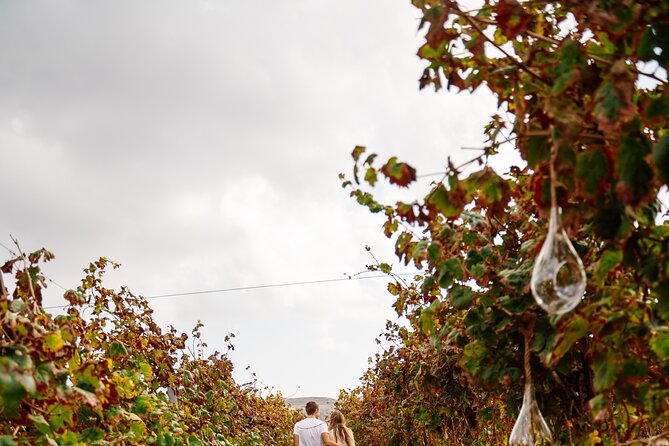 Heraklion Private Half-Day Gastronomy Diaries Experience in Lyrarakis Winery - What you may eat during the Cretan meal