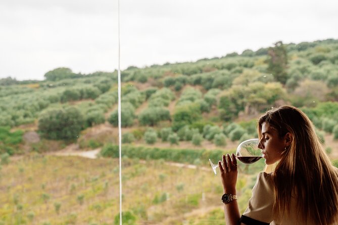 Heraklion Private Half-Day Gastronomy Diaries Experience in Lyrarakis Winery - Who should book this experience?