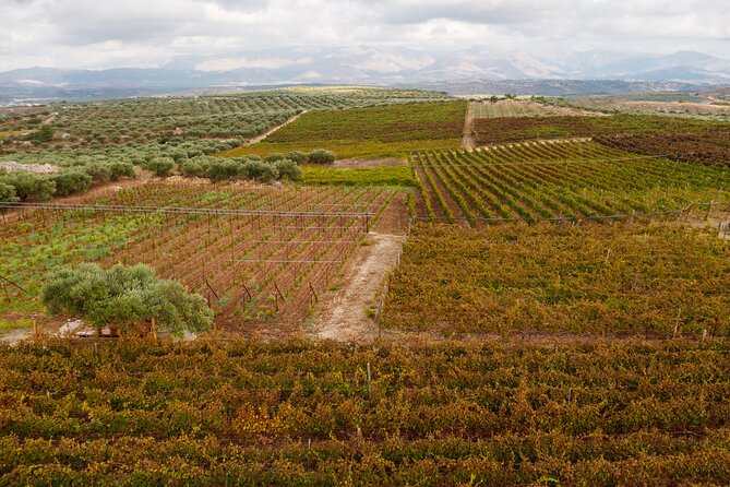 Heraklion Private Half-Day Wine Tasting Tour in Lyrarakis Winery - What the private format is worth