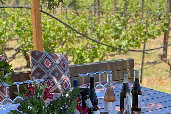 Heraklion Private Half-Day Wine Tasting Tour in Lyrarakis Winery - Who will enjoy this six-hour outing
