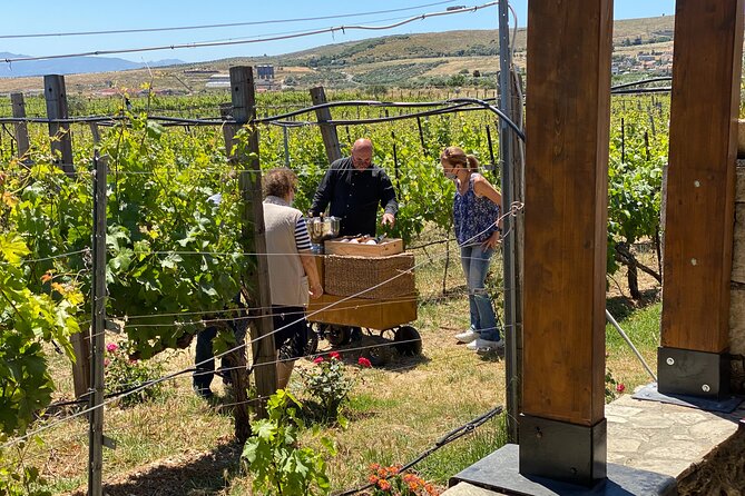 Heraklion Private Half-Day Wine Tasting Tour in Lyrarakis Winery - Weather, cancellation, and practical planning
