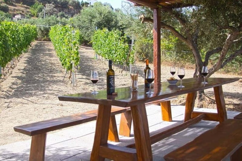 HERAKLION: Wine tasting at Douloufakis Vineyards ARISMARI - From Heraklion streets to Dafnes vines