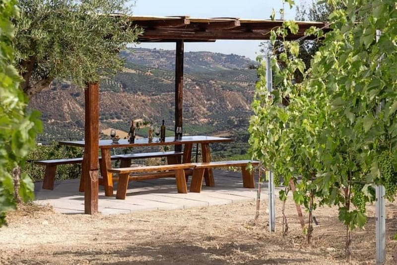 HERAKLION: Wine tasting at Douloufakis Vineyards ARISMARI - Cheese and Cretan rusks keep the tasting grounded