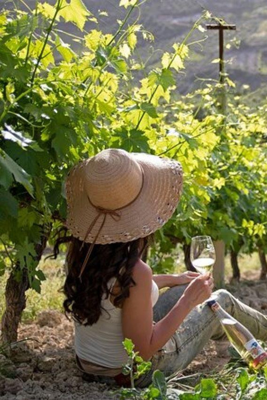 HERAKLION: Wine tasting at Douloufakis Vineyards ARISMARI - The indoor alternative when weather turns