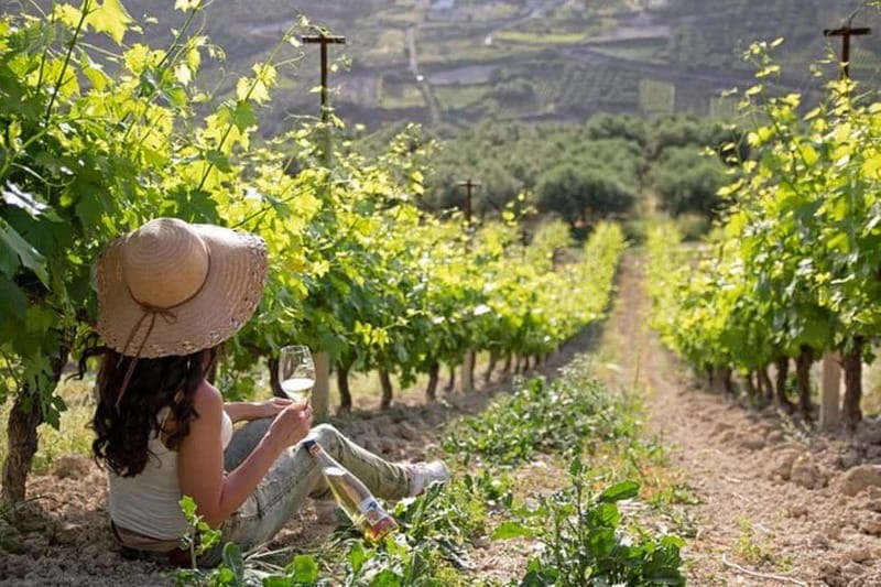 HERAKLION: Wine tasting at Douloufakis Vineyards ARISMARI - Six wines, with Cretan grapes at the center