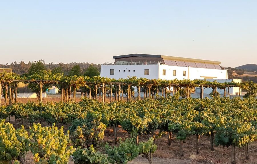 Herdade Canal Caveira - Winery Visit 4 Wines & Tapas - Key points to know before booking
